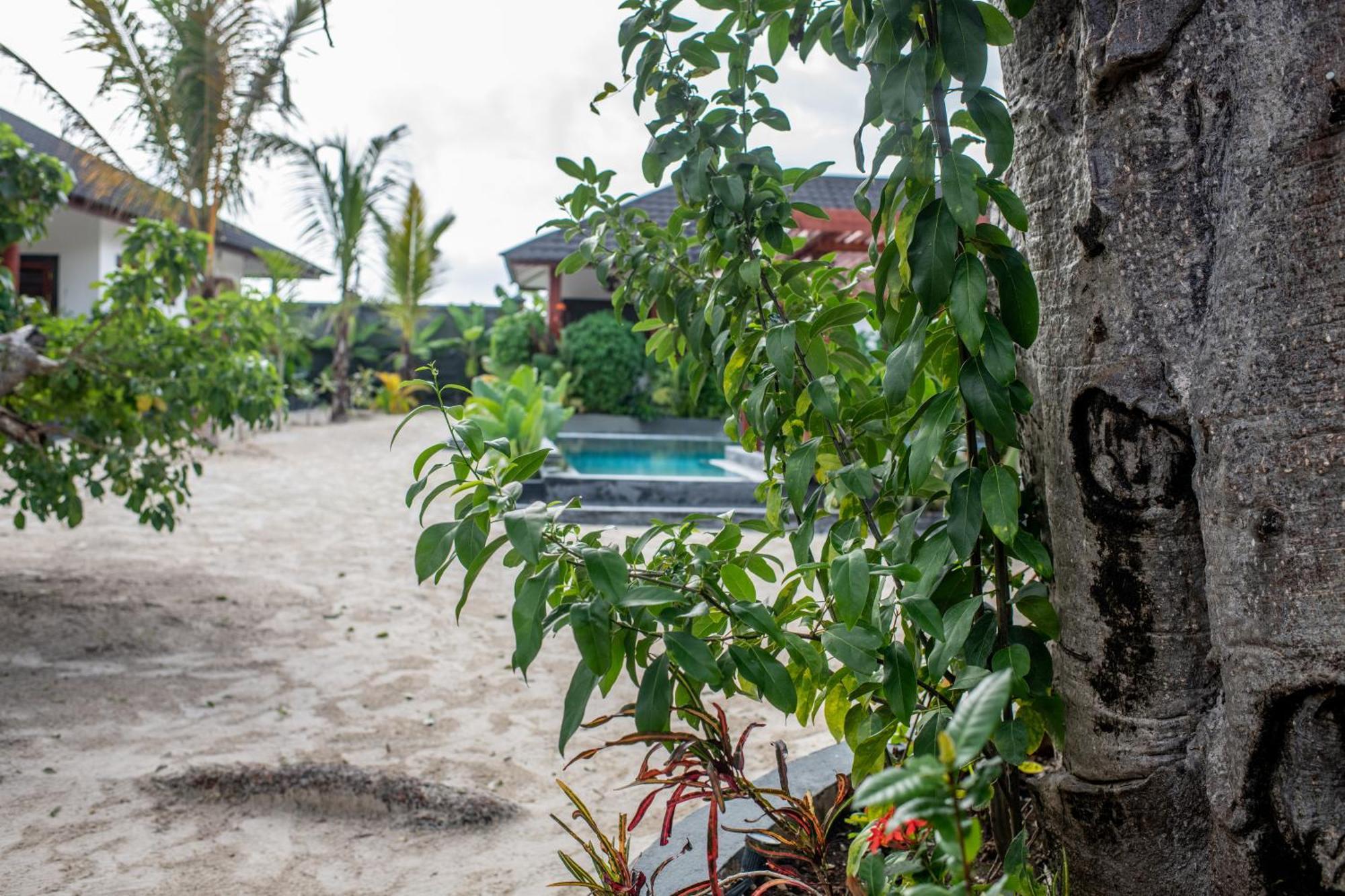 Baobab Bungalows Jambiani  Exterior photo