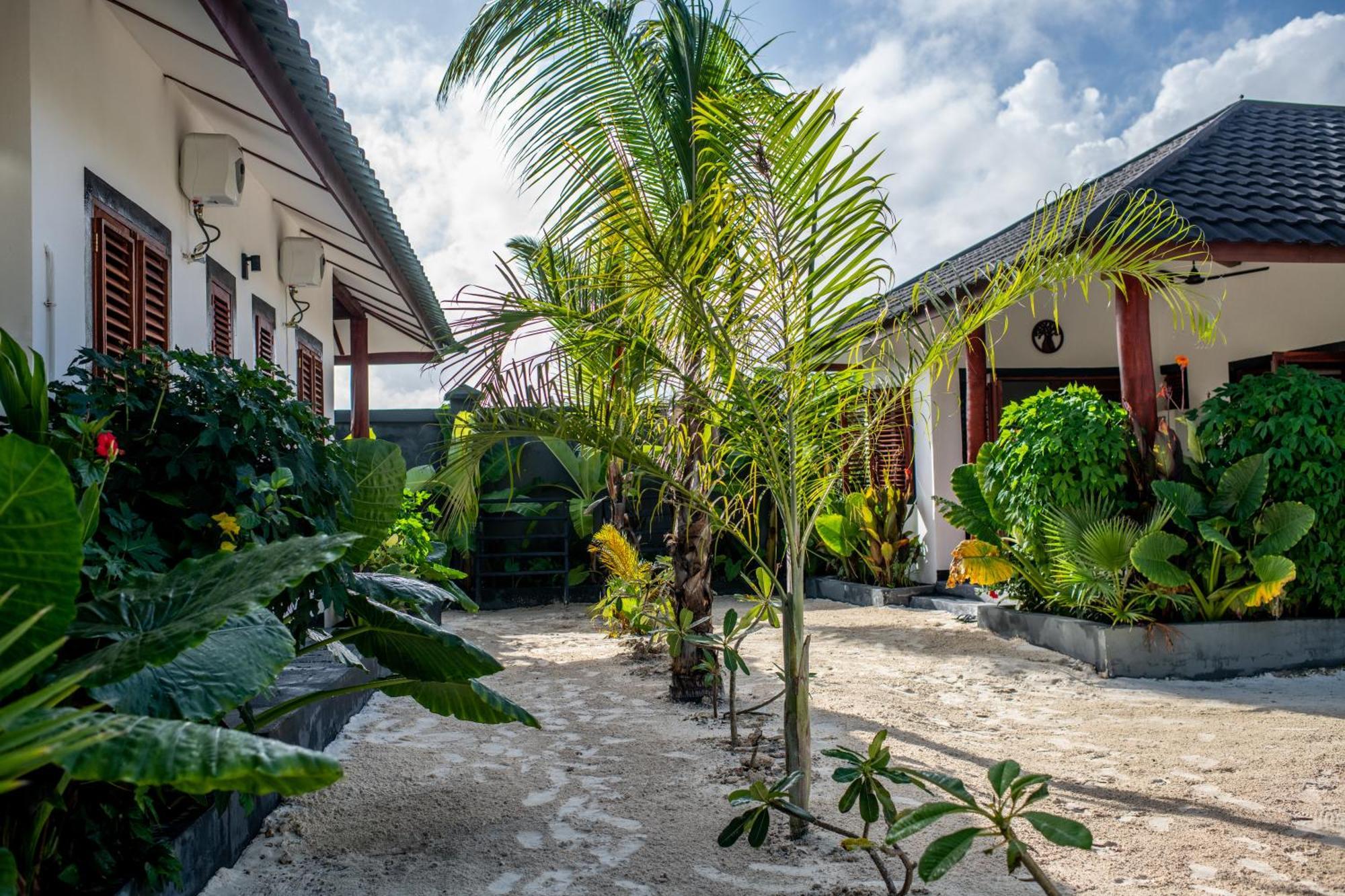 Baobab Bungalows Jambiani  Exterior photo