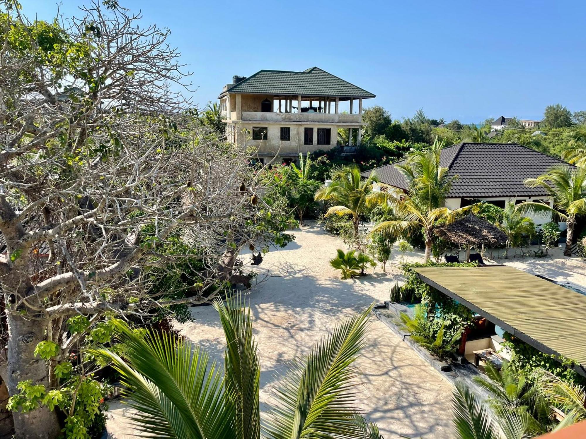 Baobab Bungalows Jambiani  Exterior photo