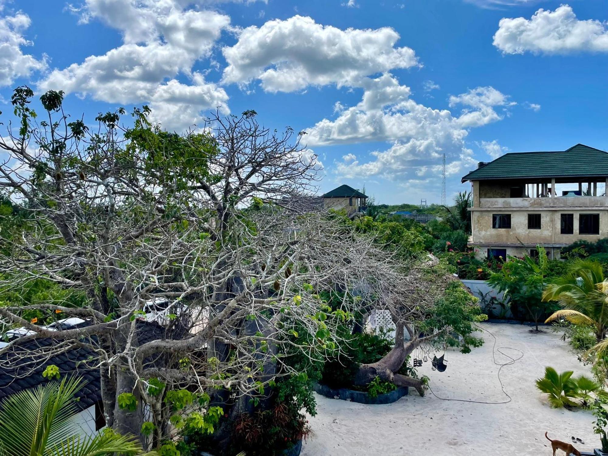 Baobab Bungalows Jambiani  Exterior photo